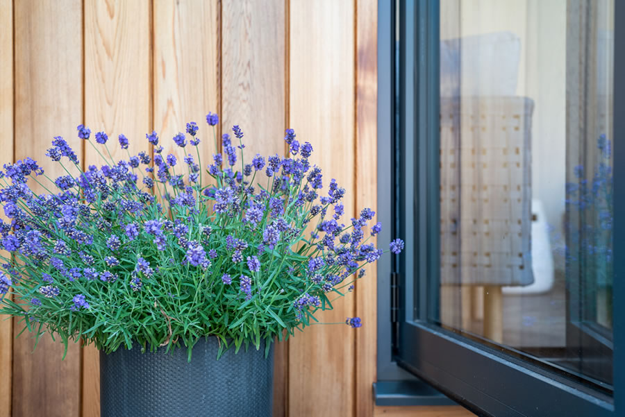 Eco-friendly garden annexes
